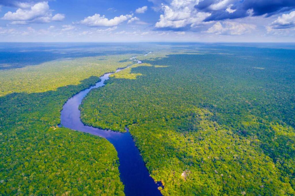 Amazônia, Brasil