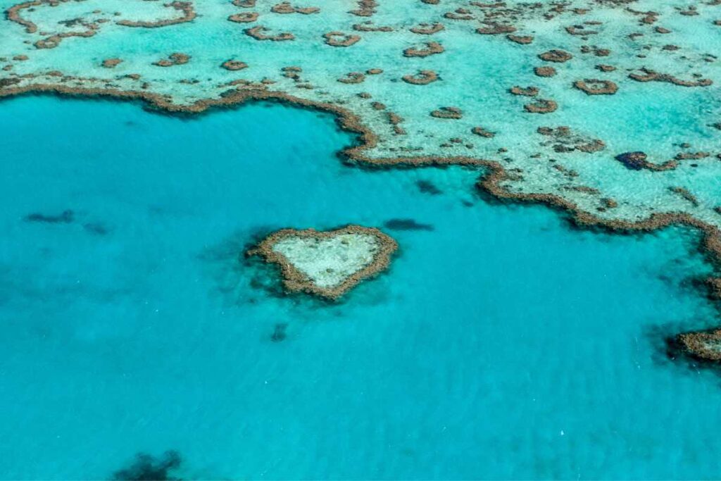 Great Barrier Reef, Austrália